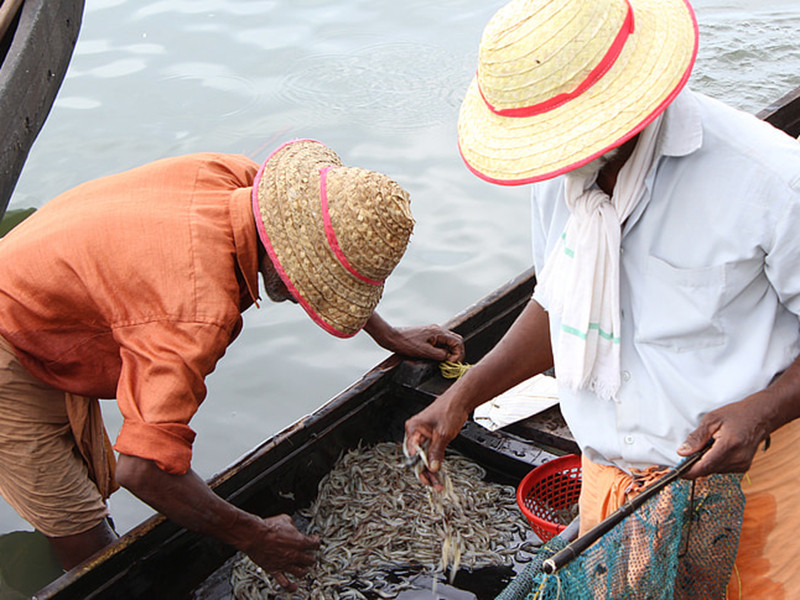 水產(chǎn)養(yǎng)殖水質(zhì)檢測(cè)儀分析儀有效分析水體狀況