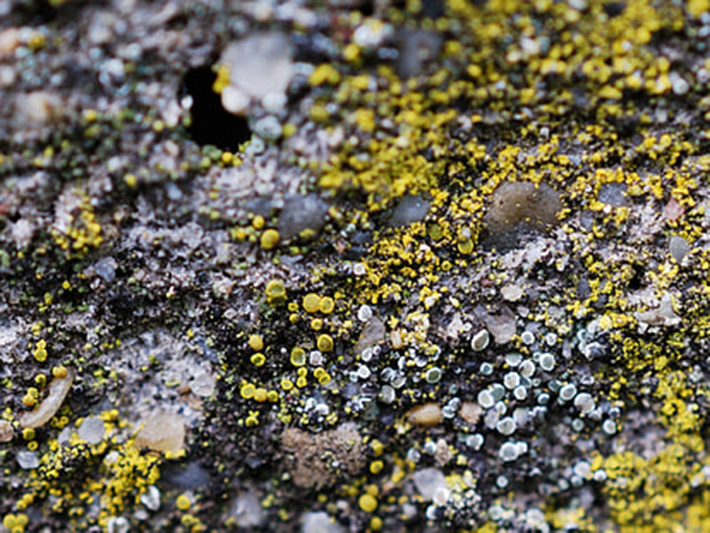 手持式土壤重金屬檢測儀價格 手持式土壤重金屬檢測儀價格