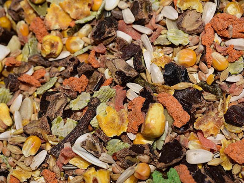 真菌毒素對人和動物有哪些危害 真菌毒素對人和動物有哪些危害