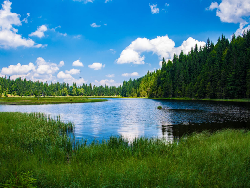 COD水質(zhì)檢測(cè)儀 COD水質(zhì)檢測(cè)儀