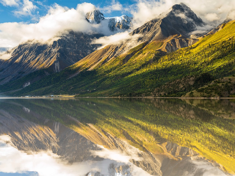 生物毒性檢測(cè)儀價(jià)格