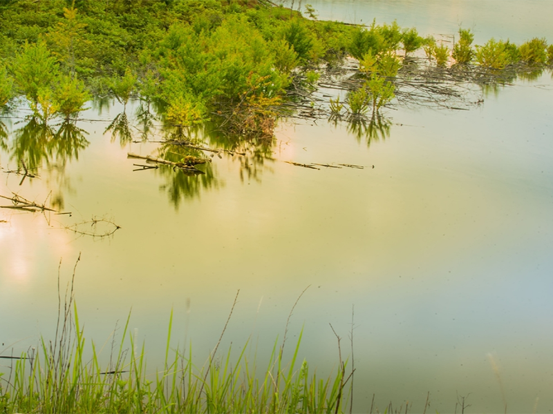 生物毒性檢測儀的測定方法 生物毒性檢測儀的測定方法
