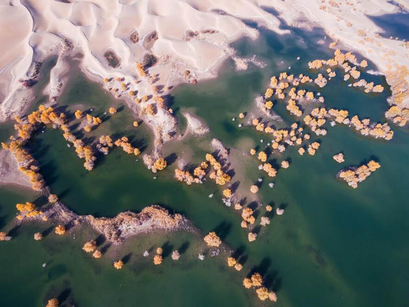 高鹽廢水的處理方法