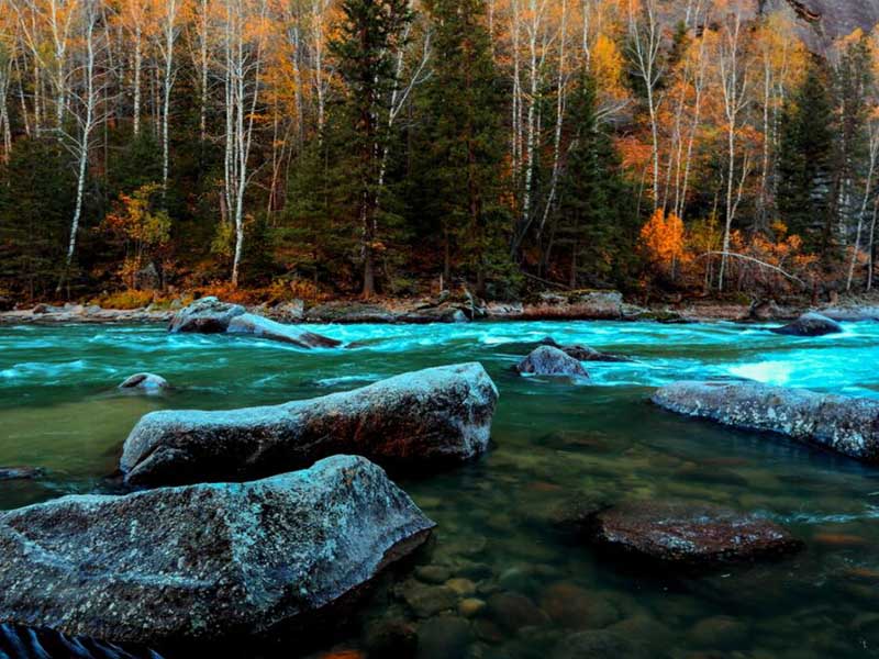 氨氮測(cè)定儀基本工作原理（氨氮測(cè)定儀類型）