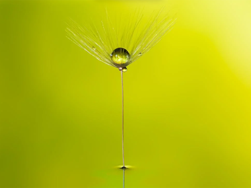 在線氨氮分析儀檢定規(guī)程（在線氨氮分析儀安裝、使用及維護）