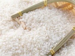 大米重金屬鎘檢測儀，可實(shí)現(xiàn)重金屬的快速定量檢測分析